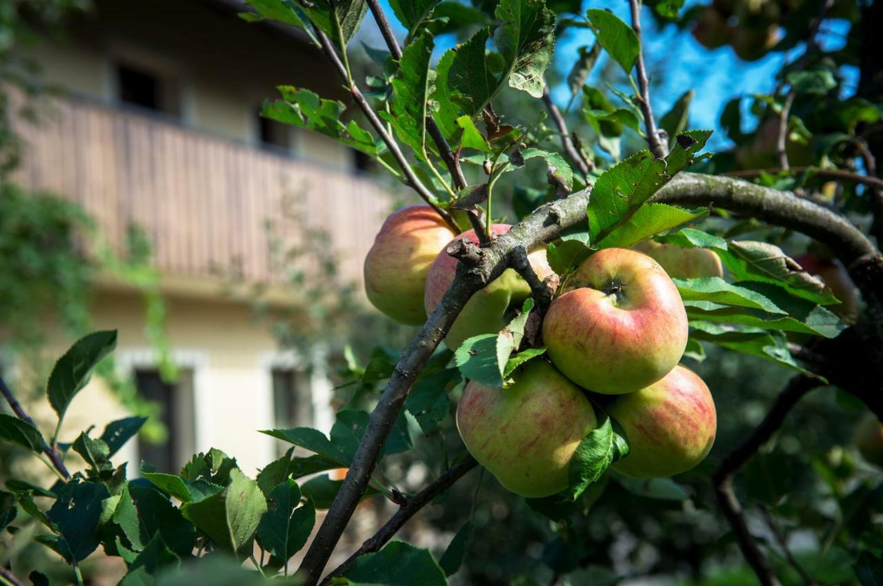 Pr'Jernejc Agroturism Villa Lesce  Buitenkant foto